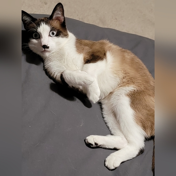 Meet your Posher, Jackie - Picture 13 of 16